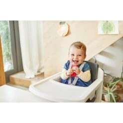 Nuna Zaaz CARBON -Baby Products Sale Store Zaaz lifestyle 1
