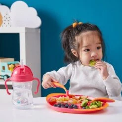 B.Box Sippy Cup CLASSIC 2019 - Raspberry 16 B.Box Sippy Cup CLASSIC 2019 - Raspberry -Baby Products Sale Store sippy cup b box sippy cup classic 2019 raspberry 8